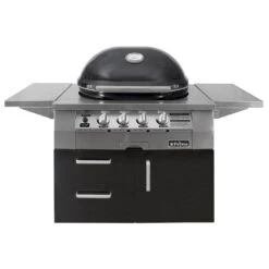 Primo Oval G420 36-Inch Ceramic Freestanding Kamado Gas Grill